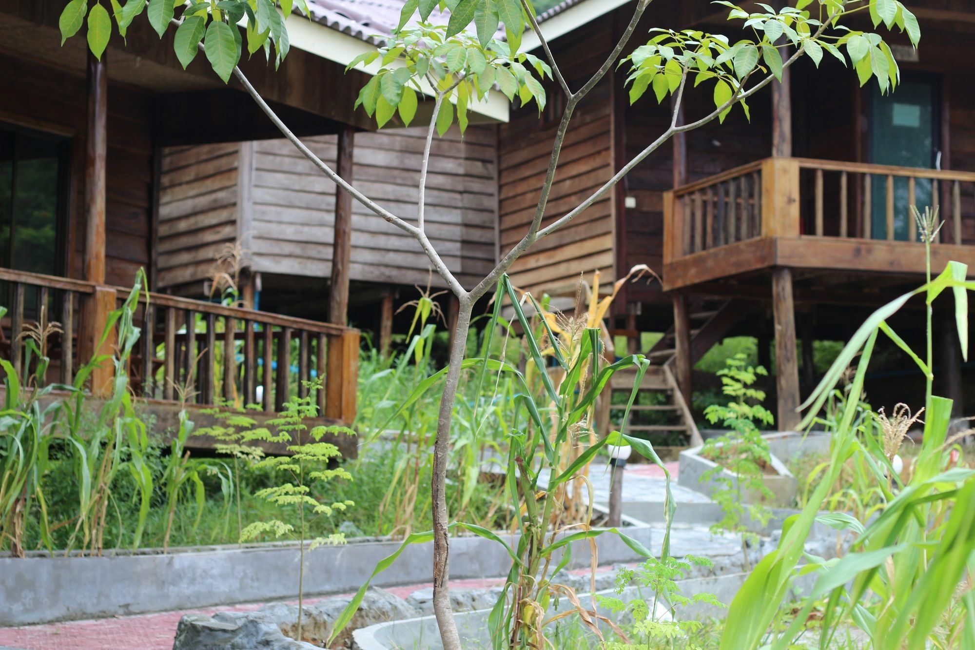 Golden Bungalows Kaoh Touch Экстерьер фото